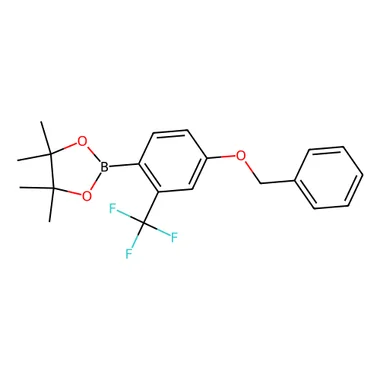 cplabsafety-3202607131623081106956