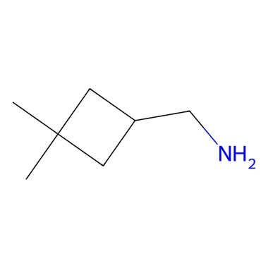 cplabsafety-3202607131623451107008