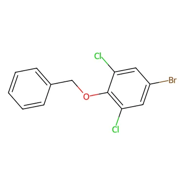 cplabsafety-3202607131624061107039