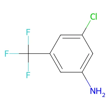 cplabsafety-3202607131626491107252