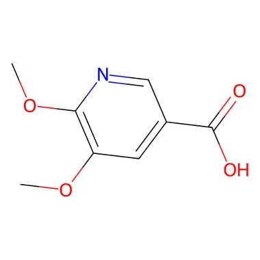 cplabsafety-3202607131645461108846