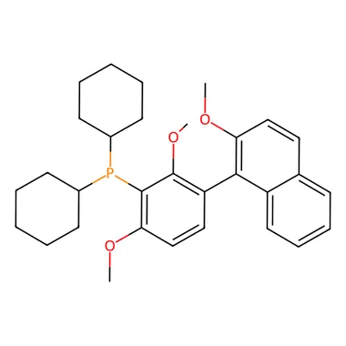 cplabsafety-3202607131705011110627
