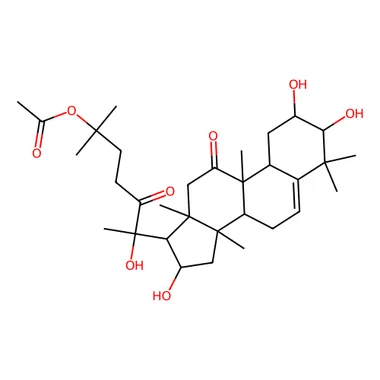 cplabsafety-3202607131710061111114