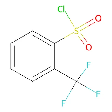 cplabsafety-3202607131723011112365
