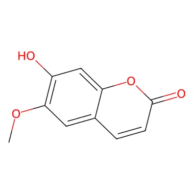 cplabsafety-3202607131736001113973