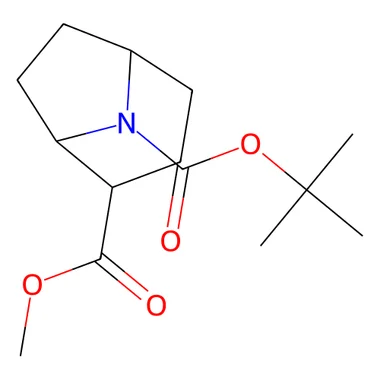 cplabsafety-3202607131737551114194