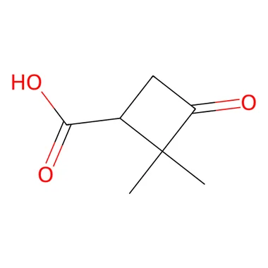 cplabsafety-3202607131740521114497