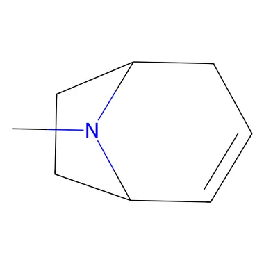 cplabsafety-3202607131759091116528