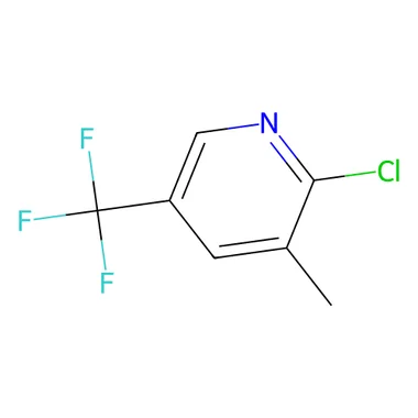 cplabsafety-3202607131808051117446
