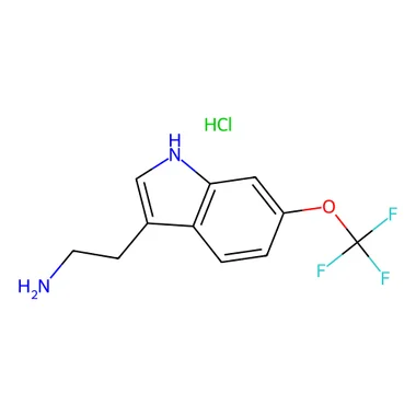 cplabsafety-3202607131817481118491