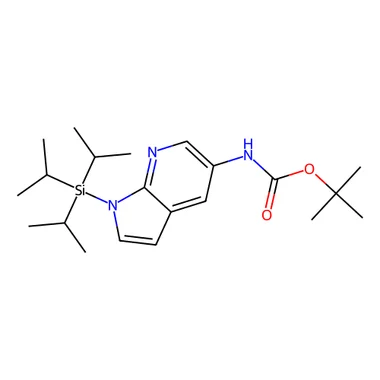 cplabsafety-3202607131914501124241