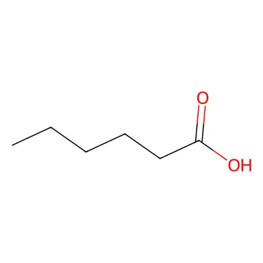 cplabsafety-3202607131919311124644