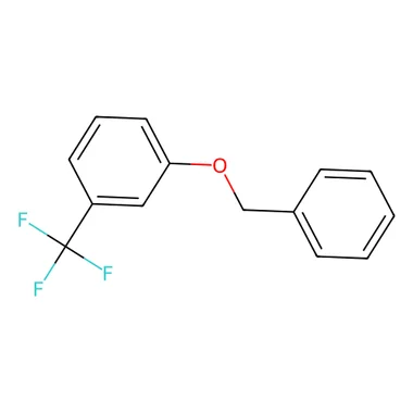 cplabsafety-3202607131951111127927