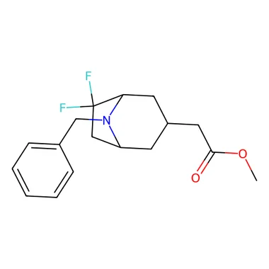 cplabsafety-3202607131953381128181
