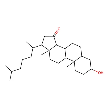 cplabsafety-3202607132014141130262