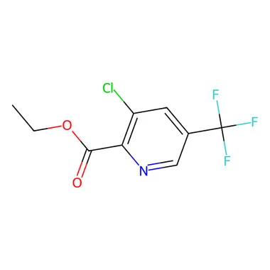 cplabsafety-3202607132058311135144
