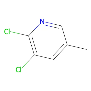 cplabsafety-3202607132102471135624