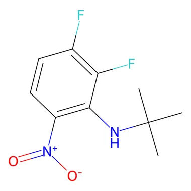 cplabsafety-3202607132201371141835