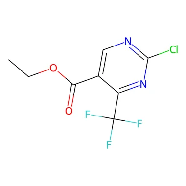 cplabsafety-3202607132316181149460