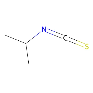 cplabsafety-3202607140101311156040