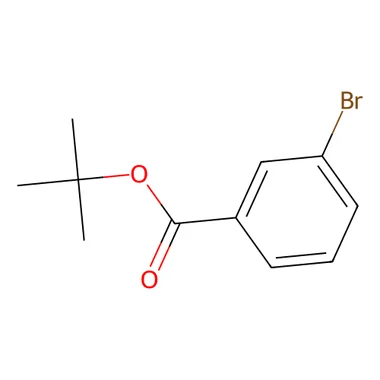 cplabsafety-3202607140121131157146