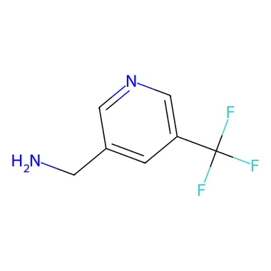 cplabsafety-3202607140155331159616