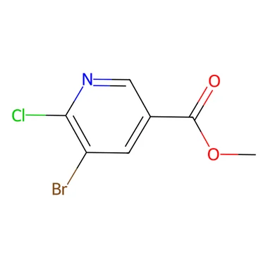 cplabsafety-3202607140337341168944