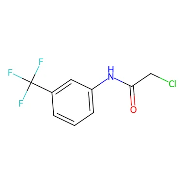 cplabsafety-3202607140356081170685