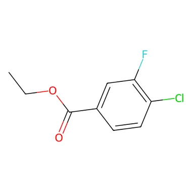 cplabsafety-3202607140400121170961