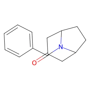 cplabsafety-3202607140506221176128