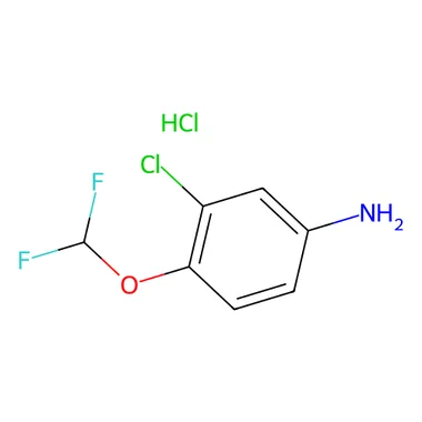 cplabsafety-3202607140529141177617