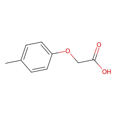 cplabsafety-3202607140541301178497