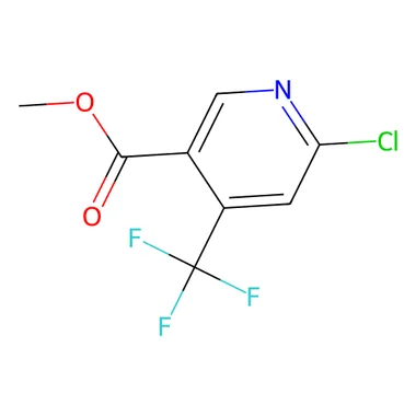 cplabsafety-3202607140647201183479