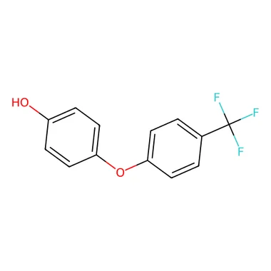 cplabsafety-3202607140735421188350