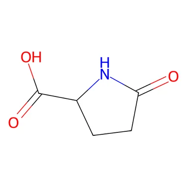 cplabsafety-3202607140749021189582