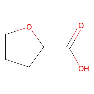 cplabsafety-3202607140820511192657