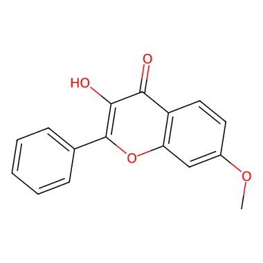 cplabsafety-3202607140826041193140