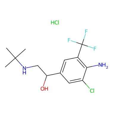 cplabsafety-3202607140905261196431