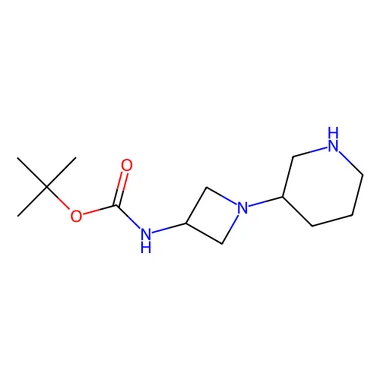 cplabsafety-3202607141025011202624