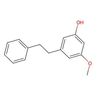 cplabsafety-3202607141035061203348