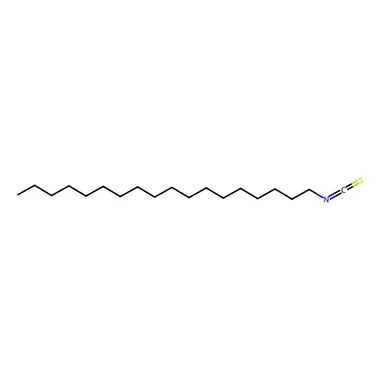 cplabsafety-3202607141041001203789