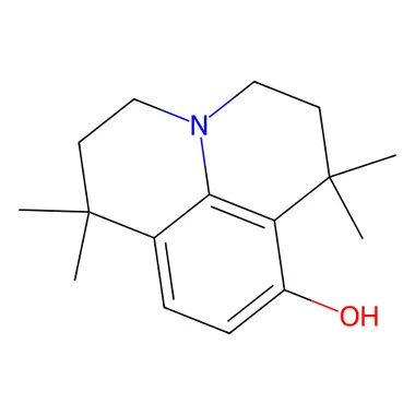 cplabsafety-3202607141106211206163