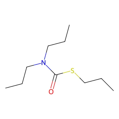 cplabsafety-3202607141157011209783