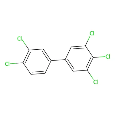 cplabsafety-3202607141200211210025