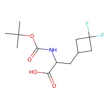 cplabsafety-3202607141336021217659