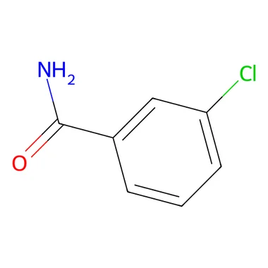 cplabsafety-3202607141341071218114