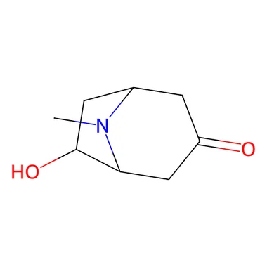 cplabsafety-3202607141346311218547