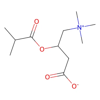 cplabsafety-3202607141527271228360