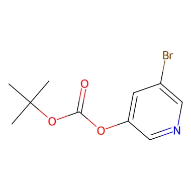 cplabsafety-3202607141614461232324