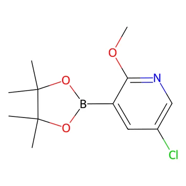 cplabsafety-3202607141629211233712
